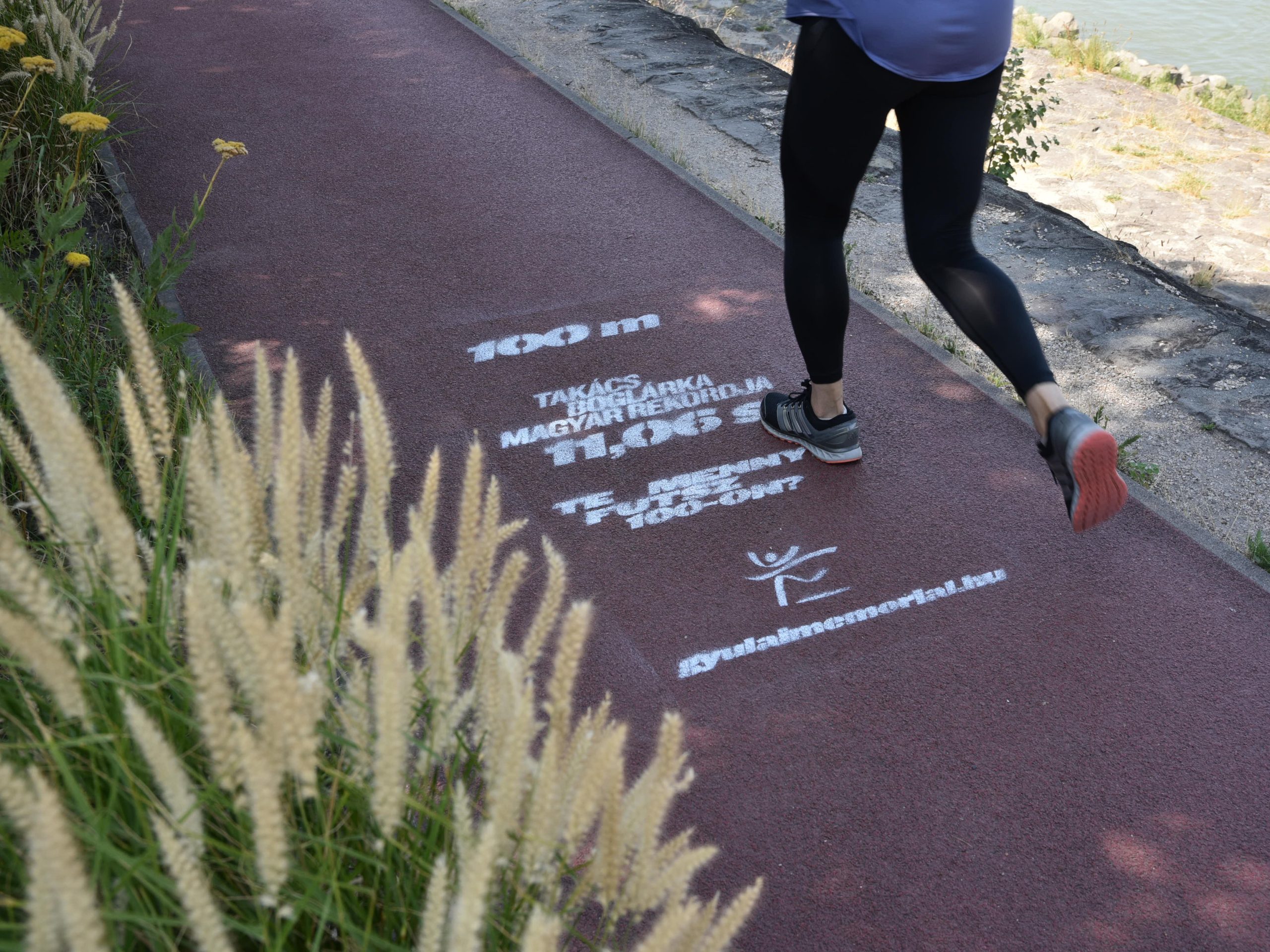 Record Times on the Rekortan – Motivation on Margaret Island